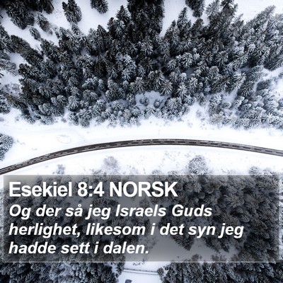 Esekiel 8:4 NORSK Bible Verse Image