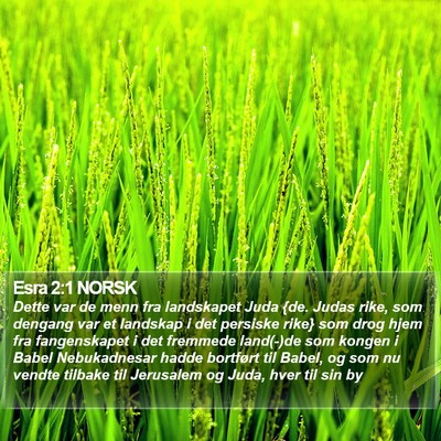 Esra 2:1 NORSK Bible Verse Image