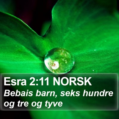 Esra 2:11 NORSK Bible Verse Image