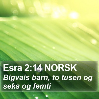Esra 2:14 NORSK Bible Verse Image