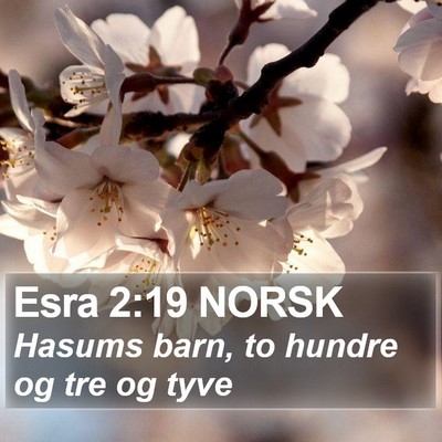 Esra 2:19 NORSK Bible Verse Image