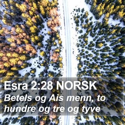 Esra 2:28 NORSK Bible Verse Image