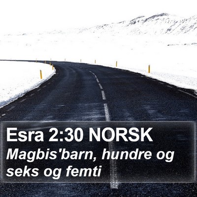 Esra 2:30 NORSK Bible Verse Image