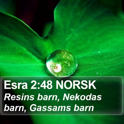 Esra 2:48 NORSK Bible Verse Image
