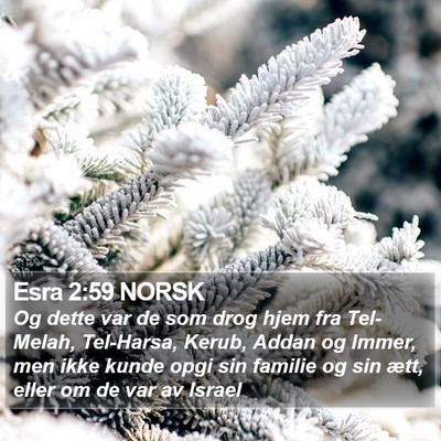 Esra 2:59 NORSK Bible Verse Image