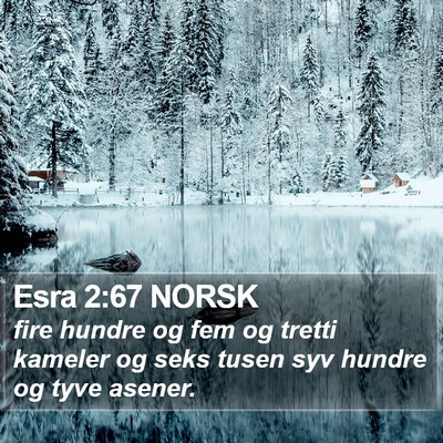 Esra 2:67 NORSK Bible Verse Image