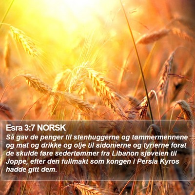 Esra 3:7 NORSK Bible Verse Image