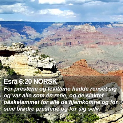 Esra 6:20 NORSK Bible Verse Image