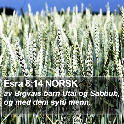 Esra 8:14 NORSK Bible Verse Image