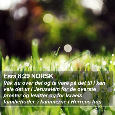 Esra 8:29 NORSK Bible Verse Image