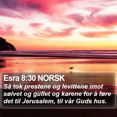 Esra 8:30 NORSK Bible Verse Image