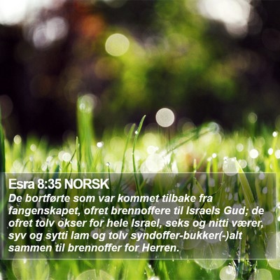 Esra 8:35 NORSK Bible Verse Image