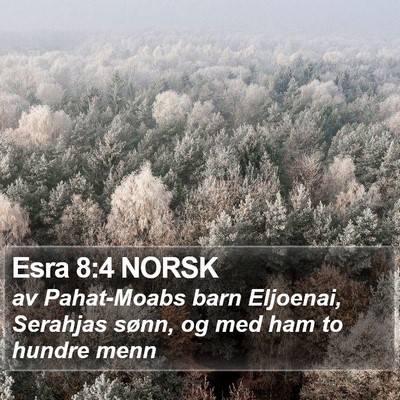 Esra 8:4 NORSK Bible Verse Image
