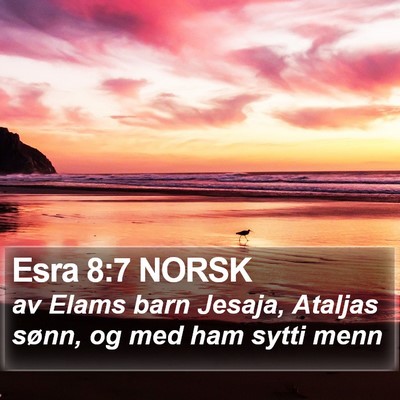 Esra 8:7 NORSK Bible Verse Image
