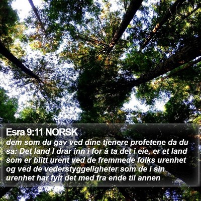Esra 9:11 NORSK Bible Verse Image
