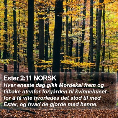 Ester 2:11 NORSK Bible Verse Image