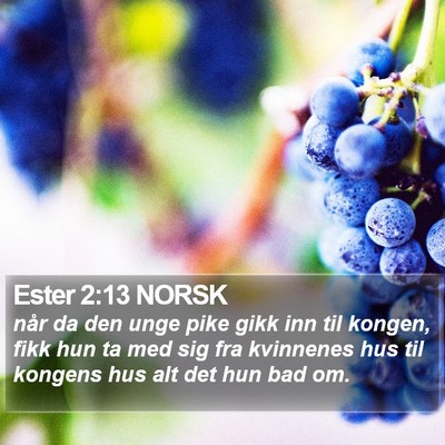 Ester 2:13 NORSK Bible Verse Image