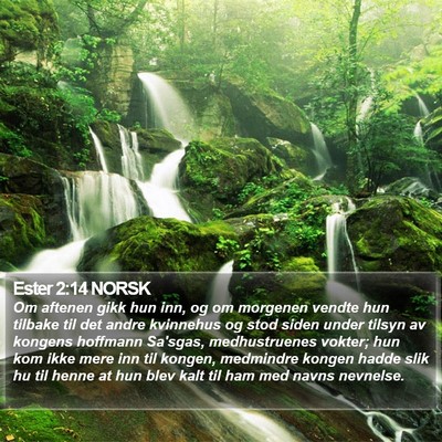 Ester 2:14 NORSK Bible Verse Image
