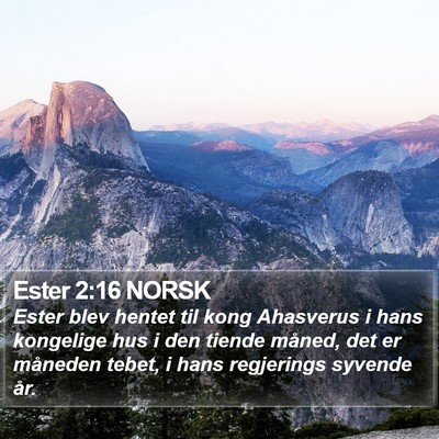 Ester 2:16 NORSK Bible Verse Image