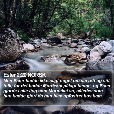 Ester 2:20 NORSK Bible Verse Image