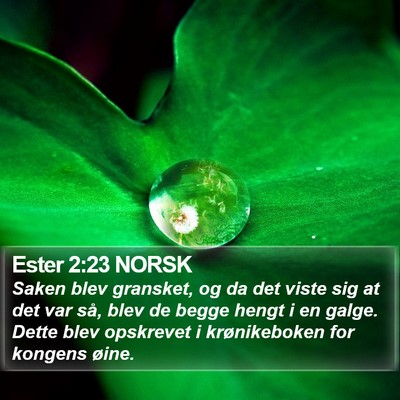 Ester 2:23 NORSK Bible Verse Image