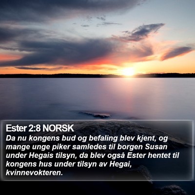 Ester 2:8 NORSK Bible Verse Image