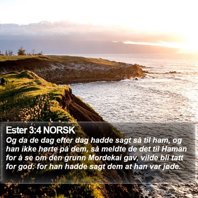 Ester 3:4 NORSK Bible Verse Image