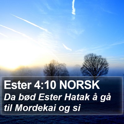 Ester 4:10 NORSK Bible Verse Image