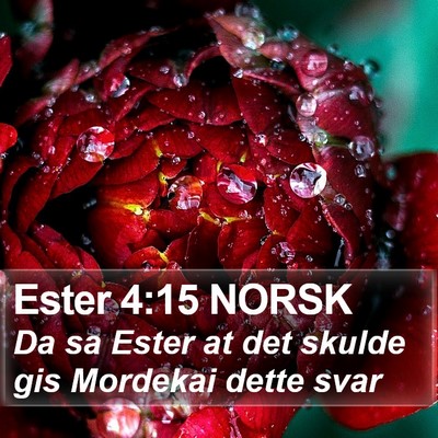 Ester 4:15 NORSK Bible Verse Image