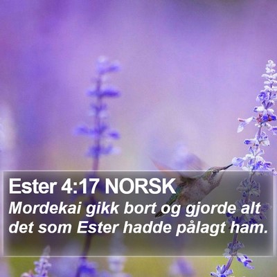 Ester 4:17 NORSK Bible Verse Image