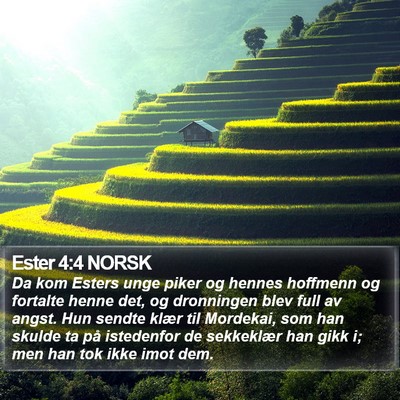 Ester 4:4 NORSK Bible Verse Image