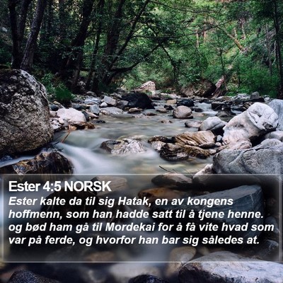 Ester 4:5 NORSK Bible Verse Image