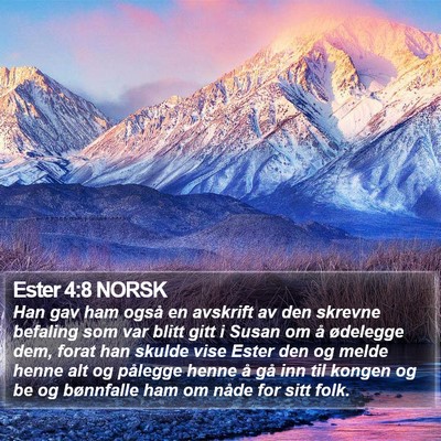 Ester 4:8 NORSK Bible Verse Image