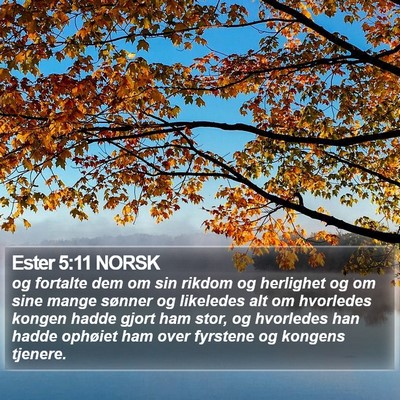 Ester 5:11 NORSK Bible Verse Image