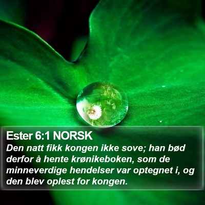 Ester 6:1 NORSK Bible Verse Image