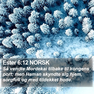 Ester 6:12 NORSK Bible Verse Image