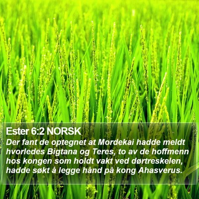 Ester 6:2 NORSK Bible Verse Image