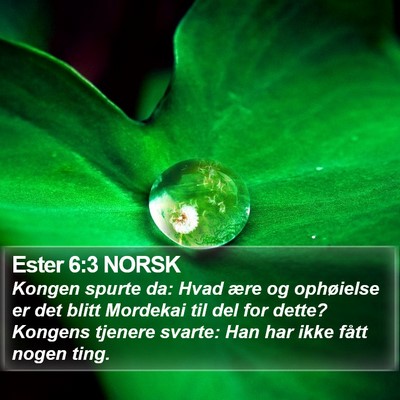Ester 6:3 NORSK Bible Verse Image