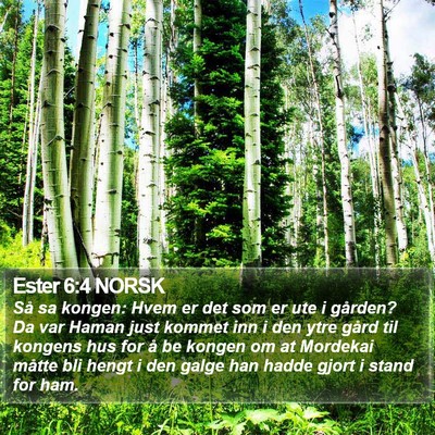 Ester 6:4 NORSK Bible Verse Image