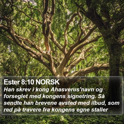 Ester 8:10 NORSK Bible Verse Image
