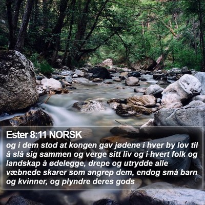 Ester 8:11 NORSK Bible Verse Image