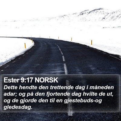 Ester 9:17 NORSK Bible Verse Image