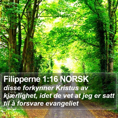 Filipperne 1:16 NORSK Bible Verse Image