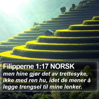 Filipperne 1:17 NORSK Bible Verse Image