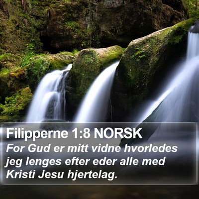 Filipperne 1:8 NORSK Bible Verse Image