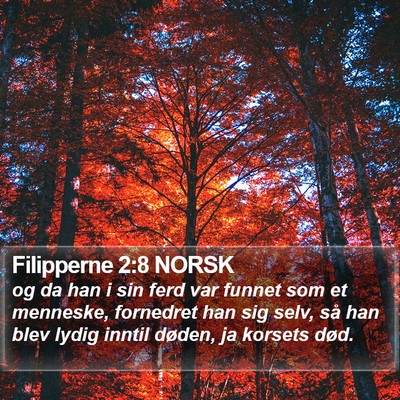Filipperne 2:8 NORSK Bible Verse Image