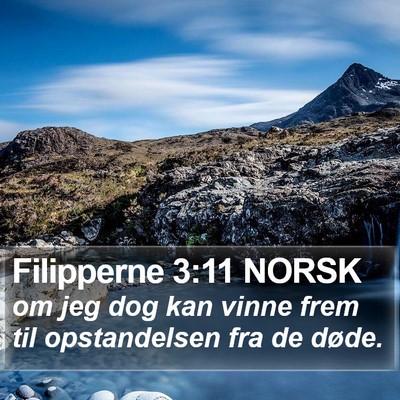 Filipperne 3:11 NORSK Bible Verse Image