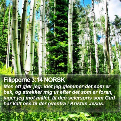 Filipperne 3:14 NORSK Bible Verse Image