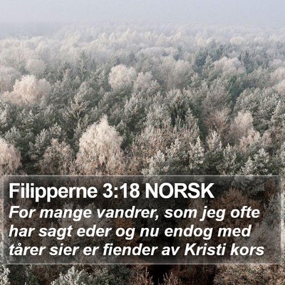 Filipperne 3:18 NORSK Bible Verse Image