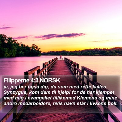 Filipperne 4:3 NORSK Bible Verse Image